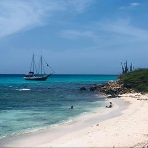 Meet your Posher, Nadine